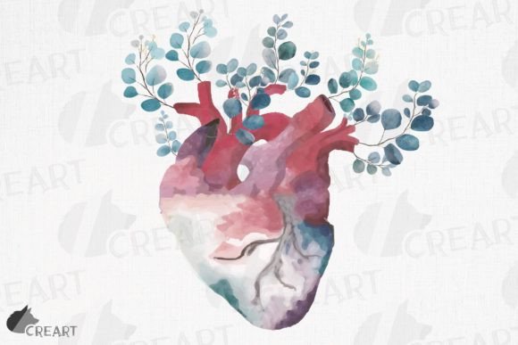 Download Eucalyptus Pink Blush Anatomical Heart - Heart Collection